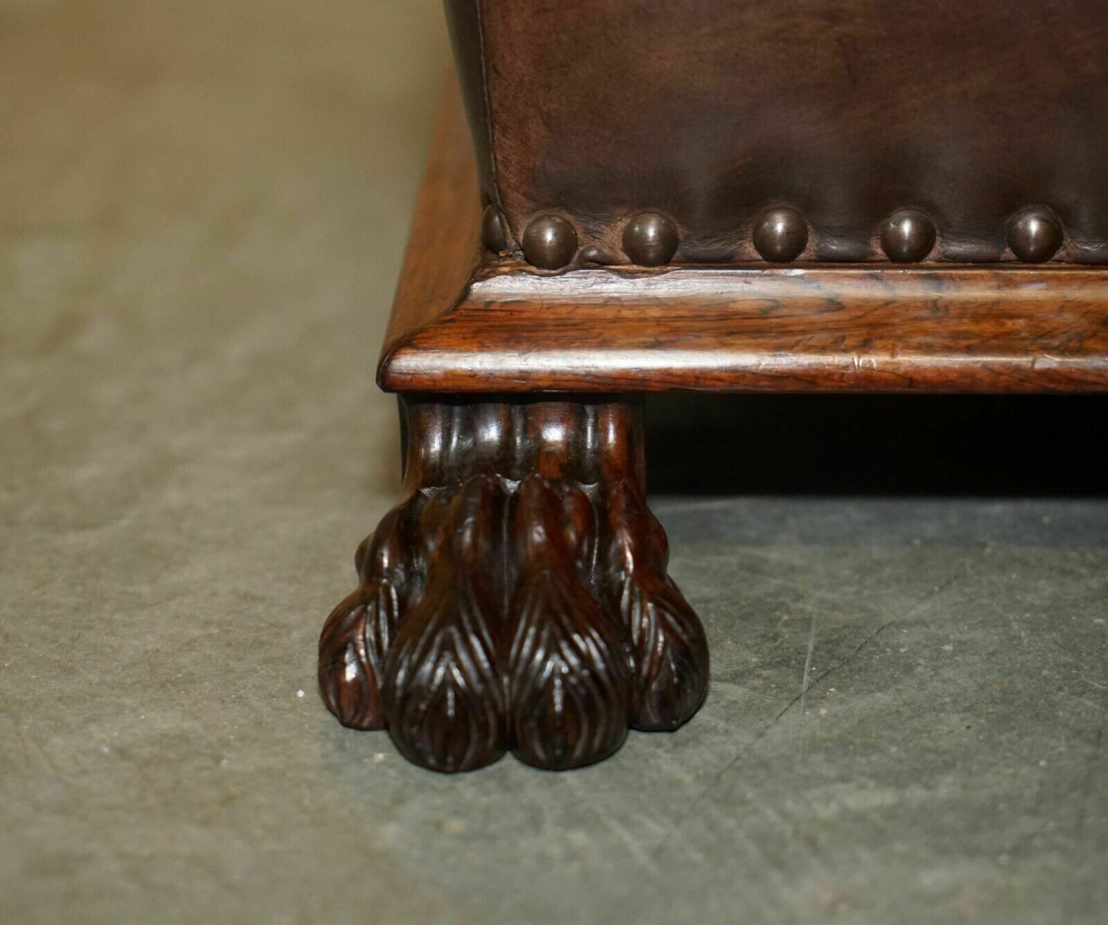 Antique Regency Circa 1815 Brown Leather Rosewood Lion's Hairy Paw Footstool photo vinterior