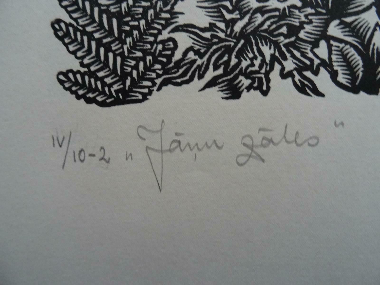 Dainis Rozkalns Solstice Flowers. 1984. Paper, Linocut, 1984 photo furniture