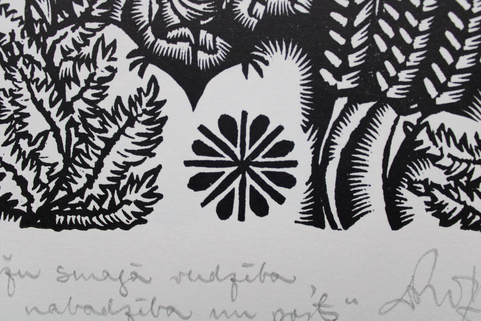 Dainis Rozkalns Bat In The Meadow. 1982. Paper, Linocut photo for sale