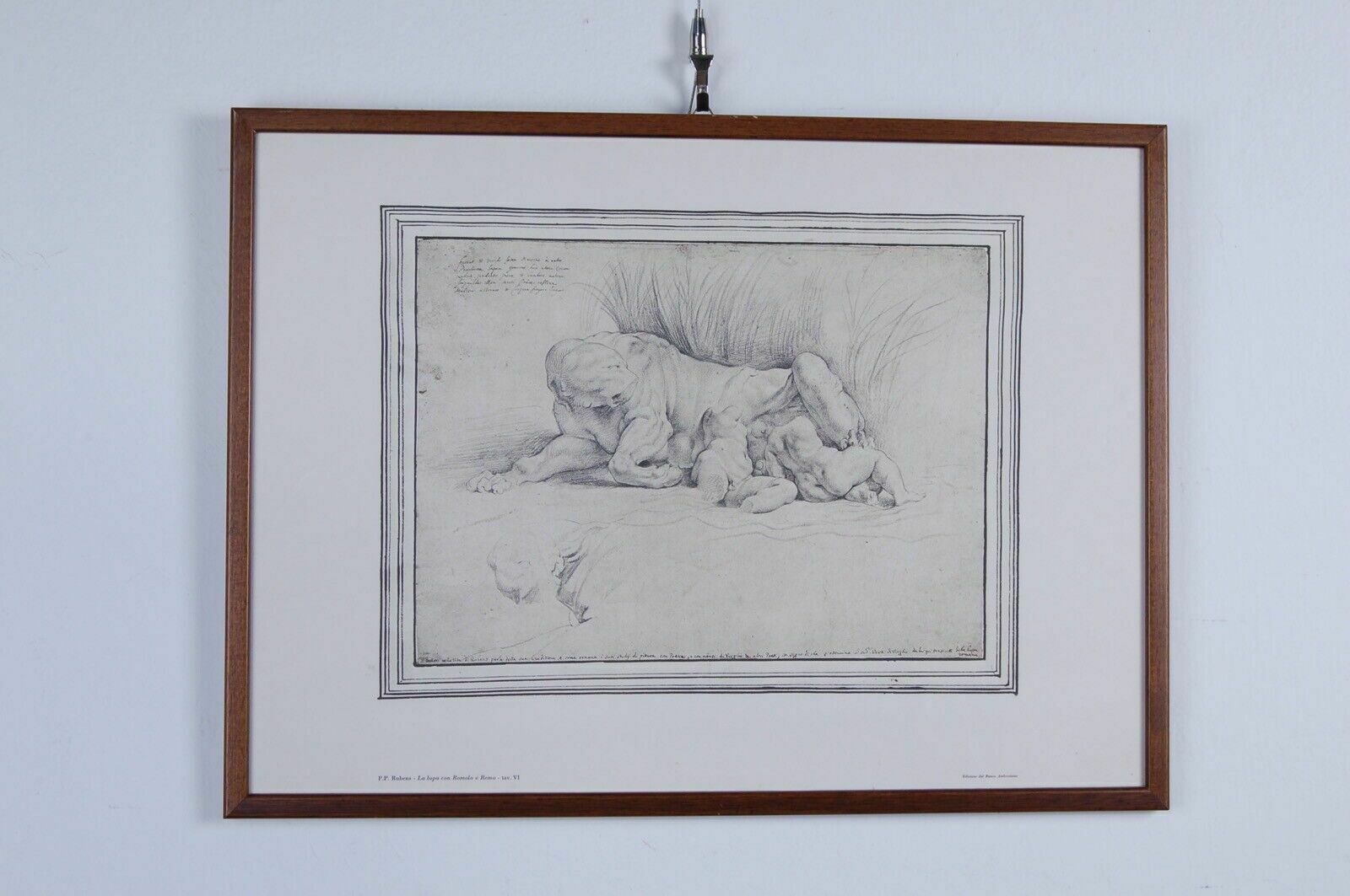 The Drawings Of The Ambrosian In 7 Framed Plates Pp Rubens Ediz Banco Ambrosiano photo Art