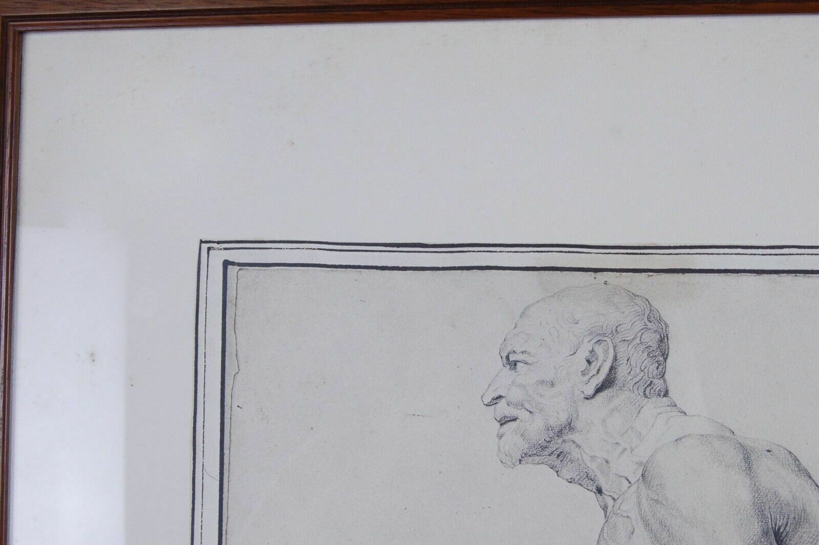 photo for sale The Drawings Of The Ambrosian In 7 Framed Plates Pp Rubens Ediz Banco Ambrosiano