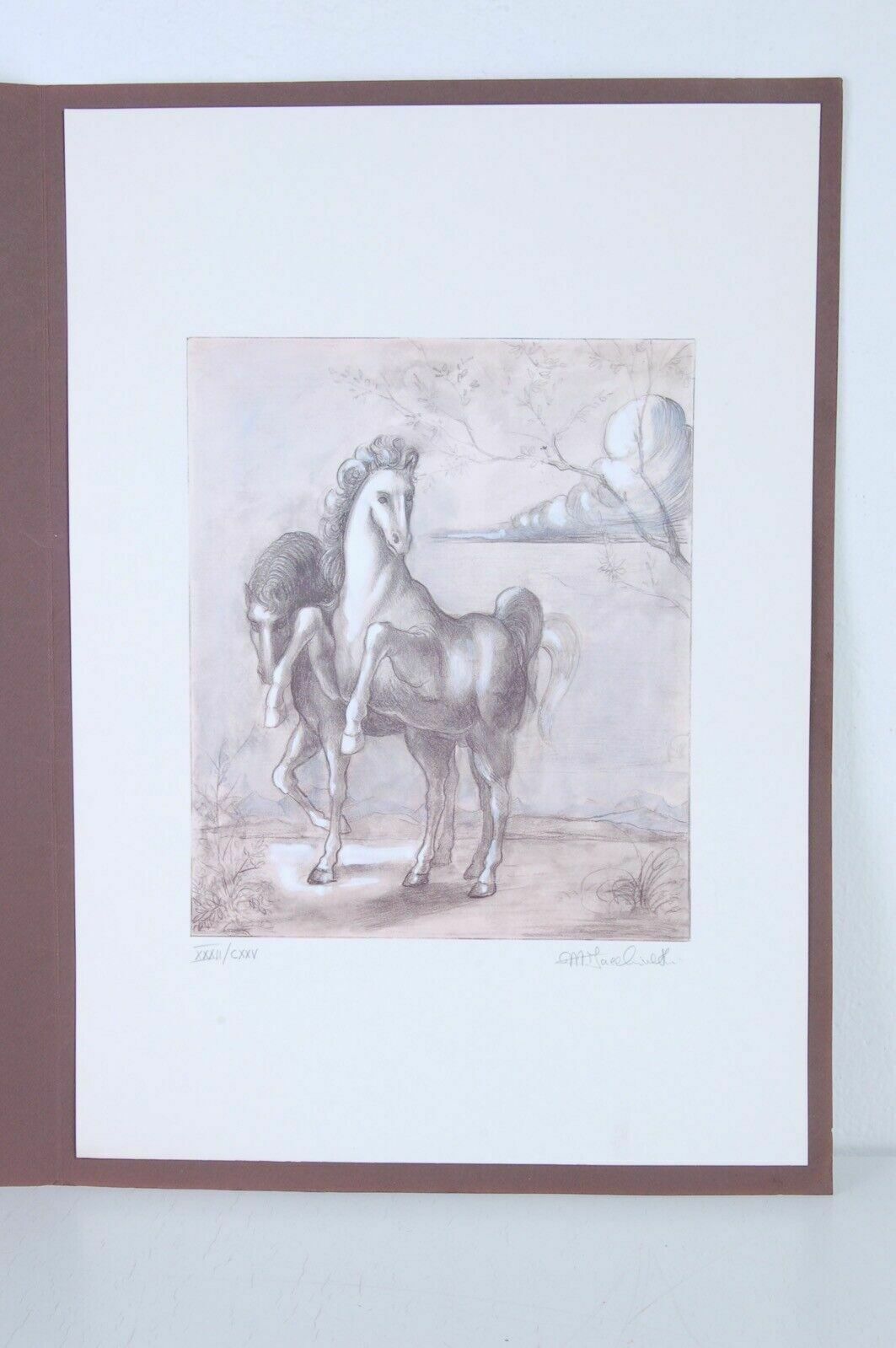 Photolithograph   N°32 Of 125 Copies Retouched By Hand By Marisa Facchinetti