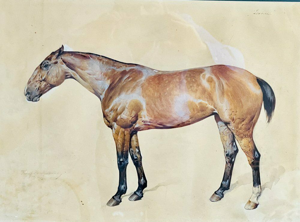 Franz Reichmann, Horse, 1920s, Watercolor, Framed photo vinterior