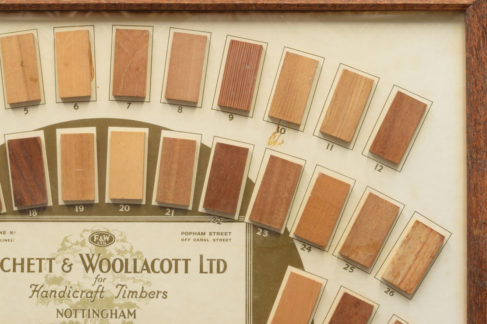 Fitchett & Wooltacott Ltd   A Specimen Wood Timber Shop Display, Framed photo for sale