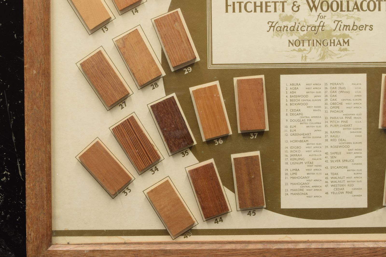 Fitchett & Wooltacott Ltd   A Specimen Wood Timber Shop Display, Framed photo Home Decor