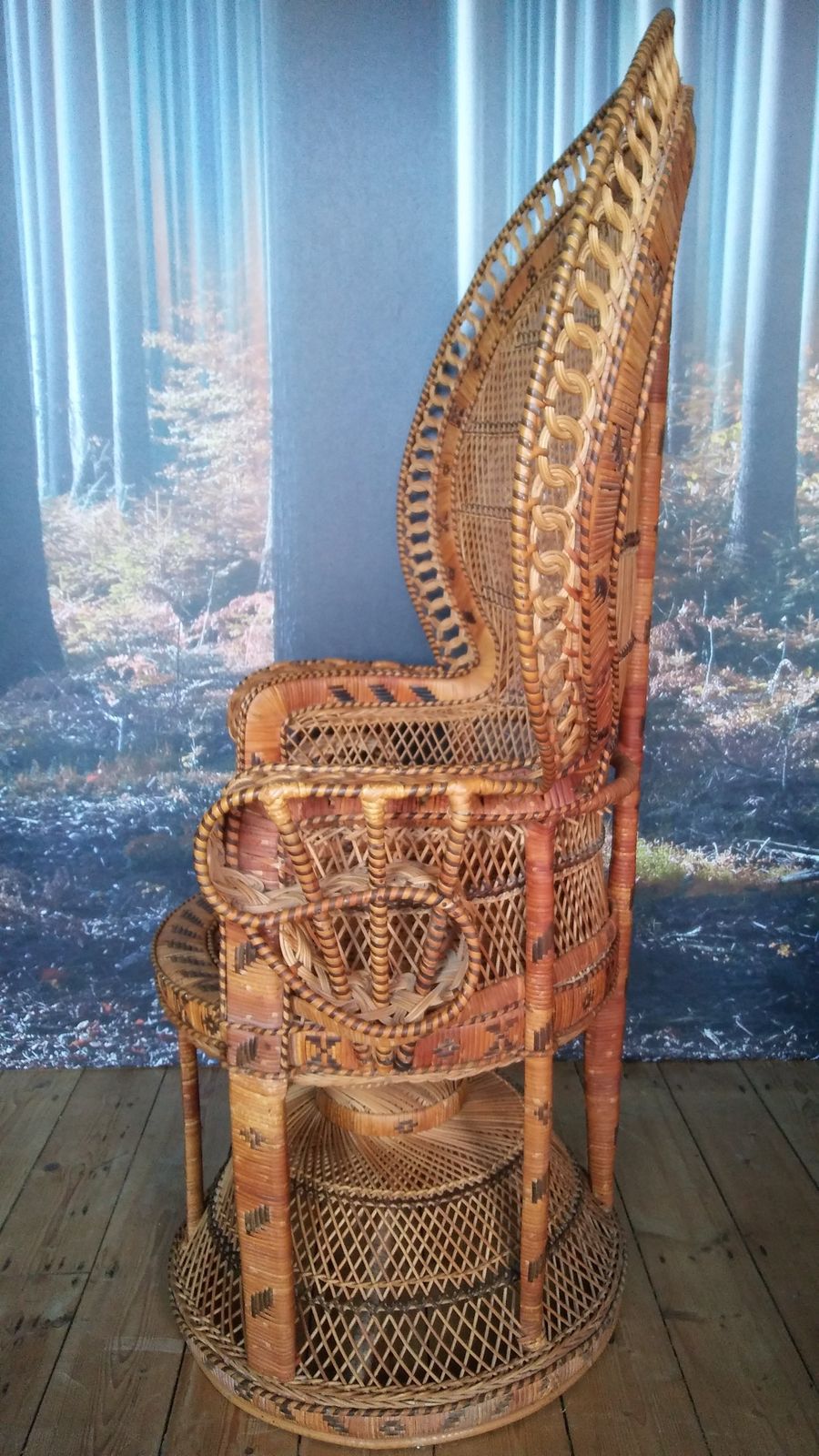 Kok Maison Emmanuel Peacock Chair photo buy