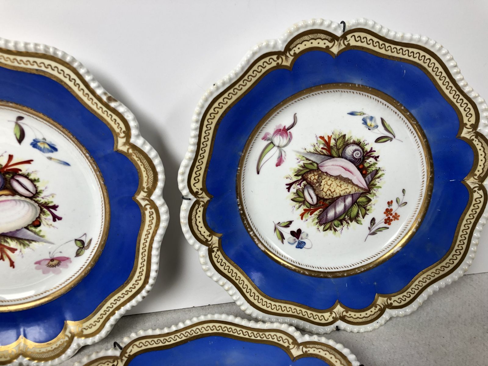 A Beautiful Set Of Five Cabinet Plates Hand Painted With Shells. Extremely Rare photo 550.0