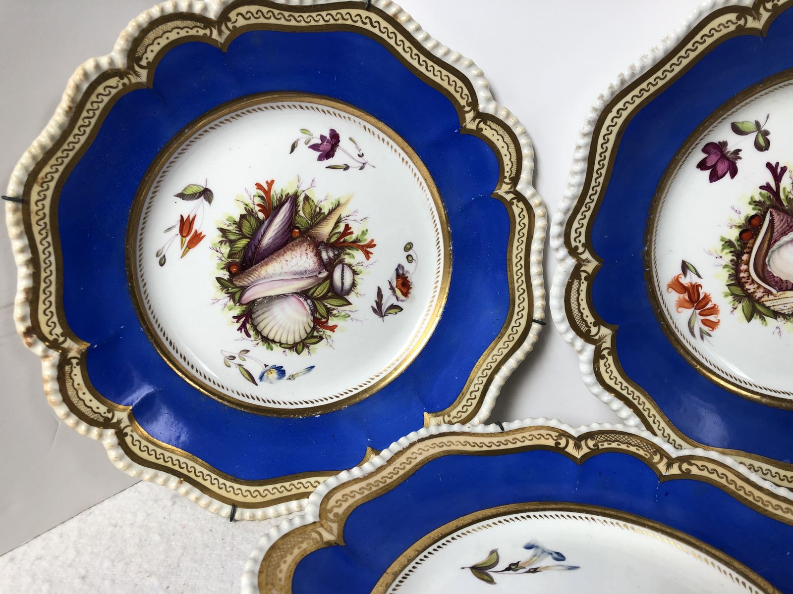 A Beautiful Set Of Five Cabinet Plates Hand Painted With Shells. Extremely Rare photo vinterior