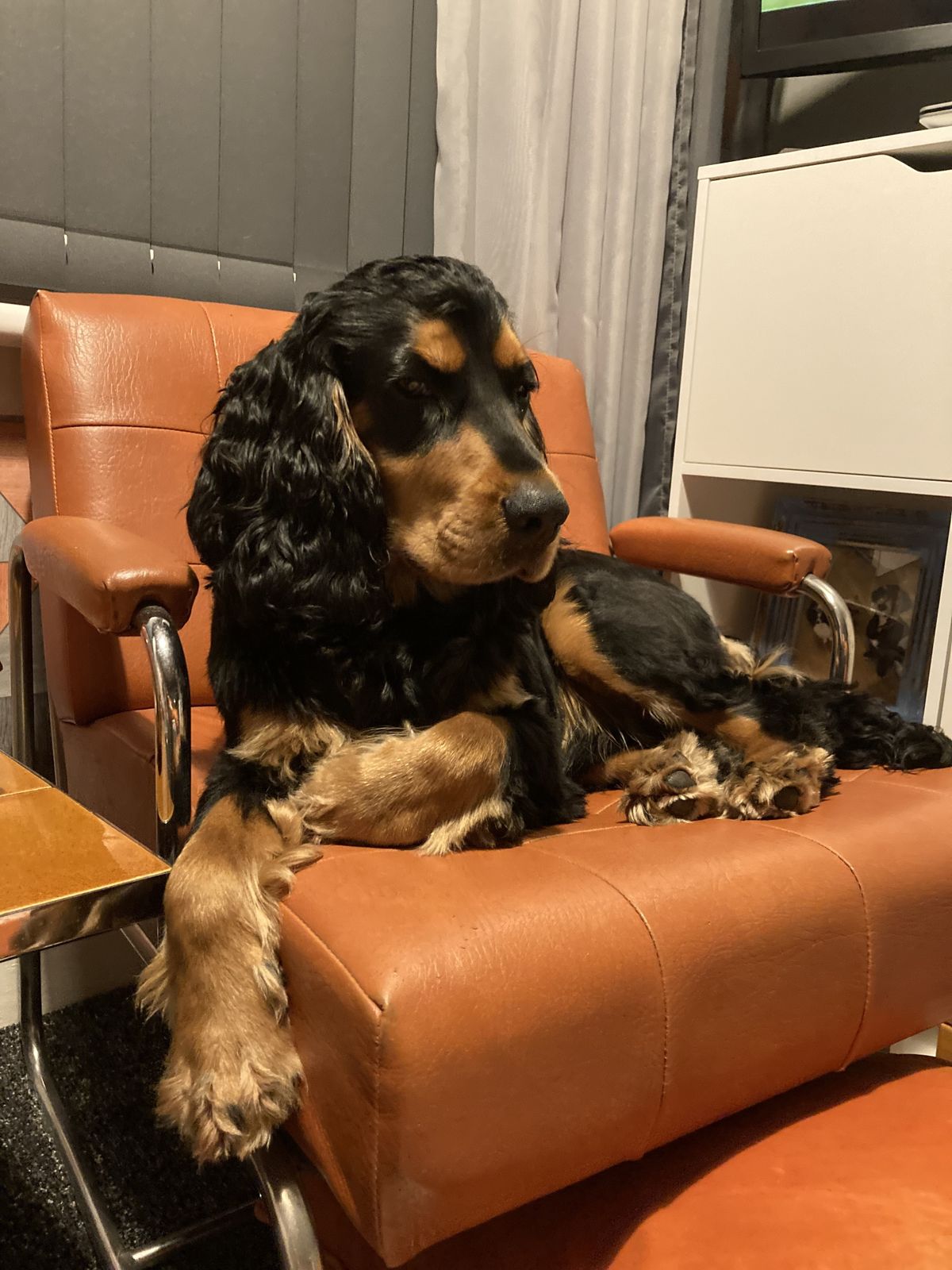2 Beautiful Chrome And Faux Leather Chairs From 60’s/70’s photo for sale