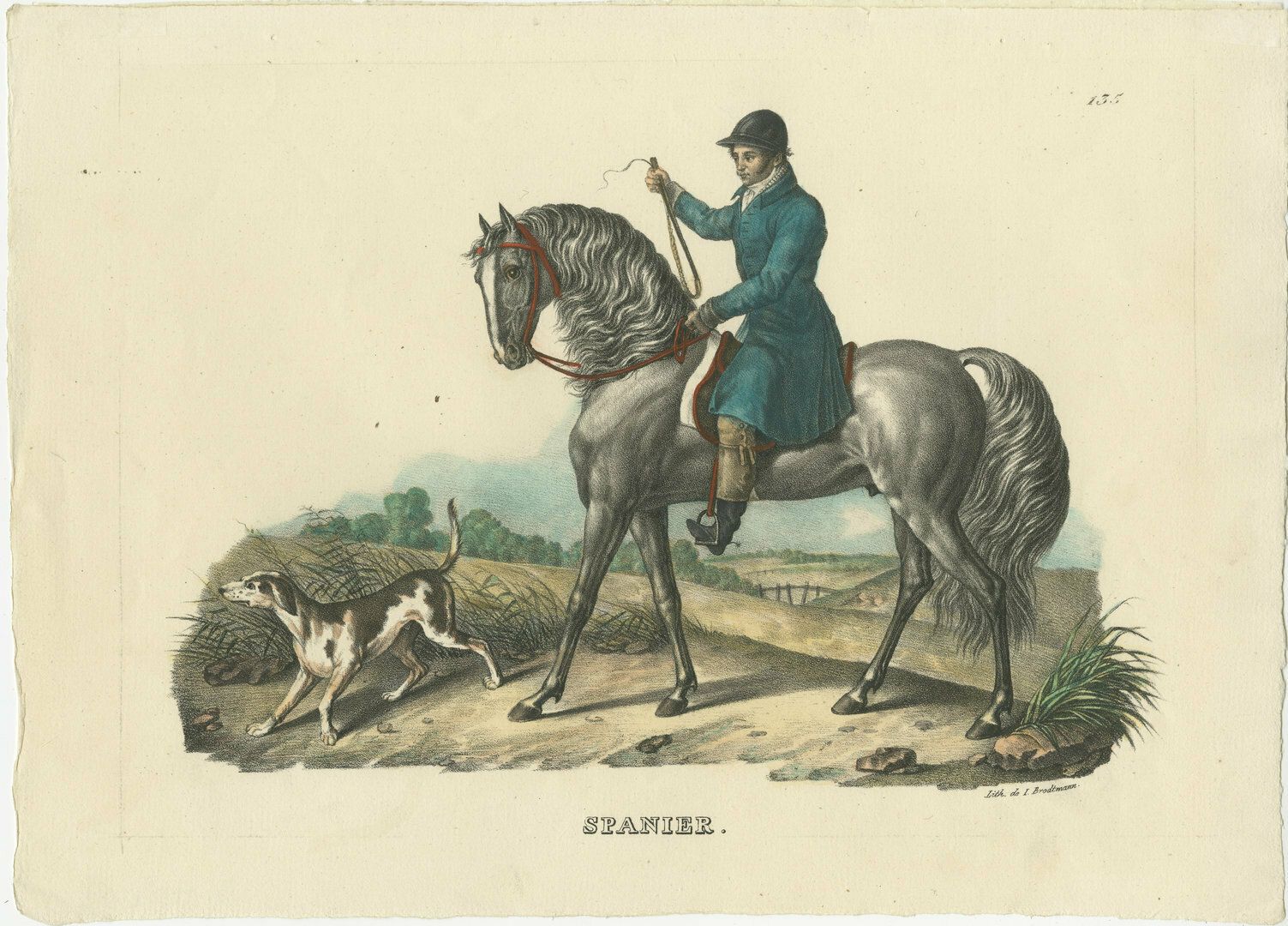 Original Hand Colored Print Of A Spanish Horse And Rider
