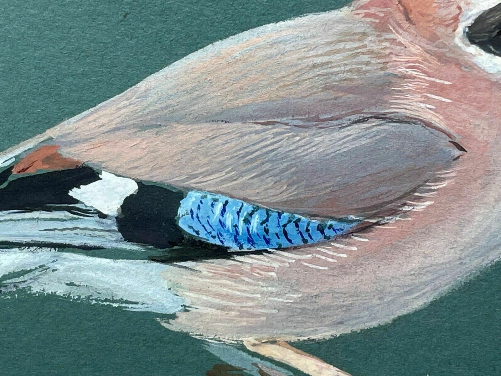 Ornithological Painting Jays Perched Bird Study Signed Donald Watson 1918 2005 photo for sale
