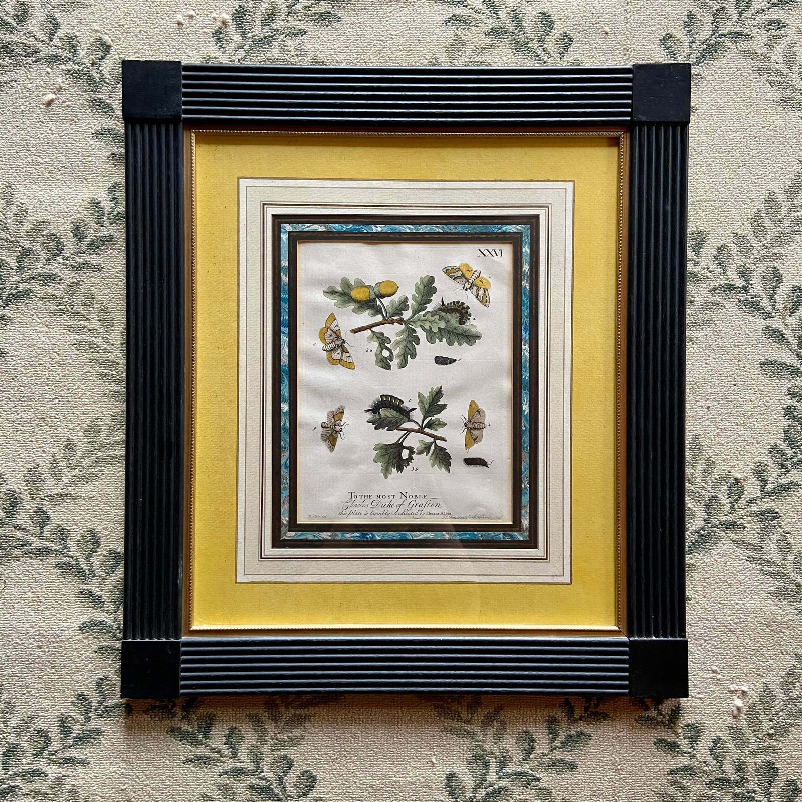 Set Of 4 Framed Hand Coloured 19th Century Prints photo vinterior