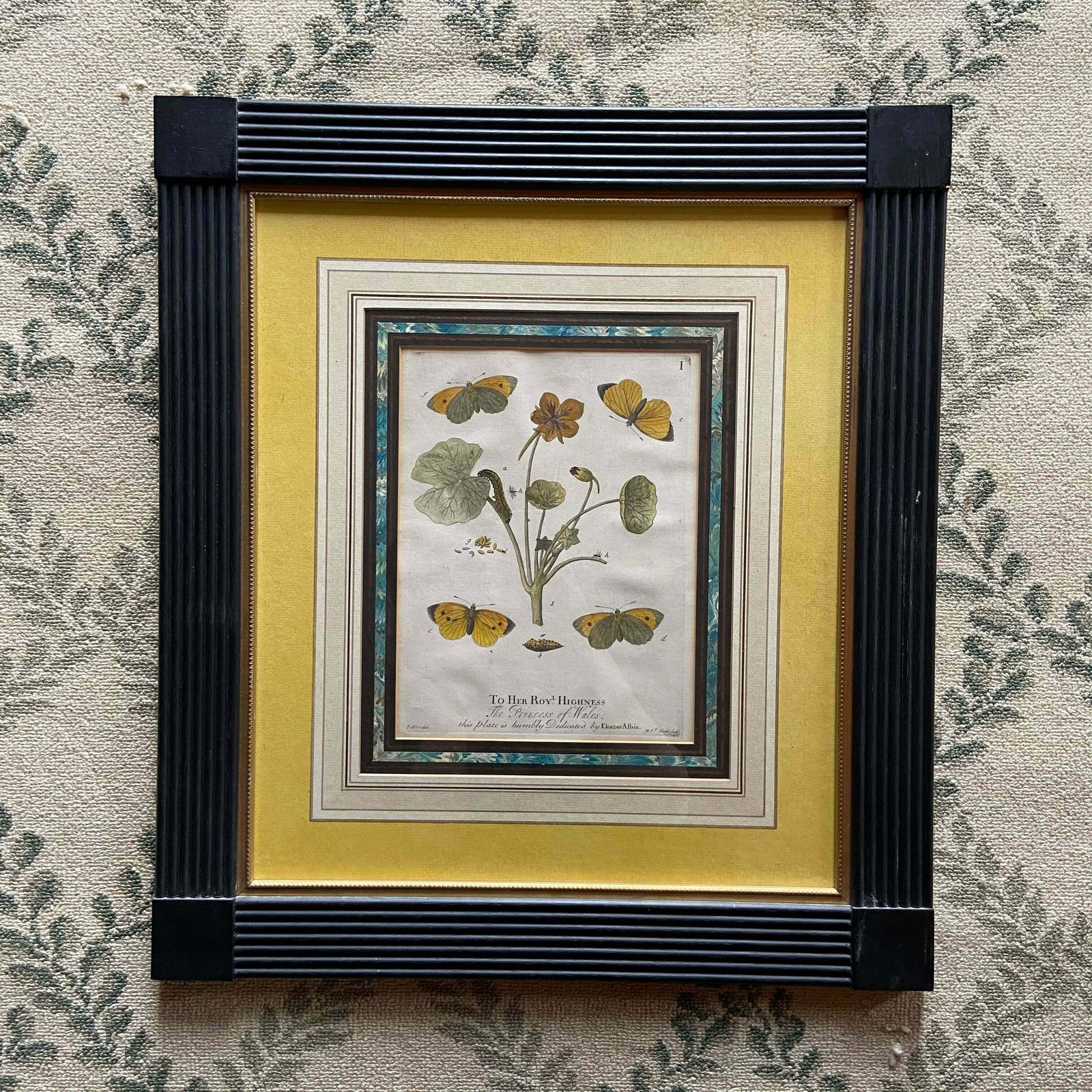 Set Of 4 Framed Hand Coloured 19th Century Prints photo buy