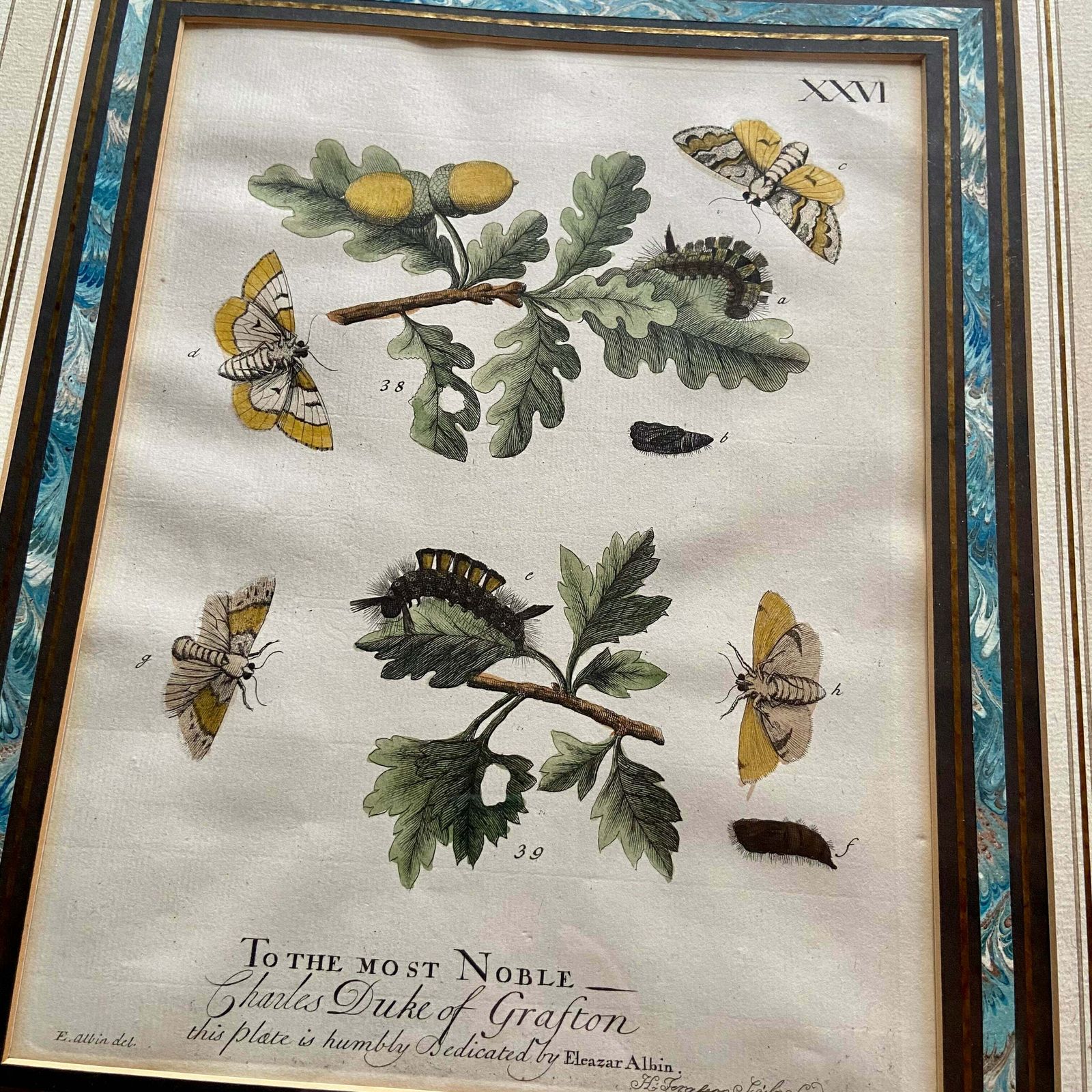 photo furniture Set Of 4 Framed Hand Coloured 19th Century Prints