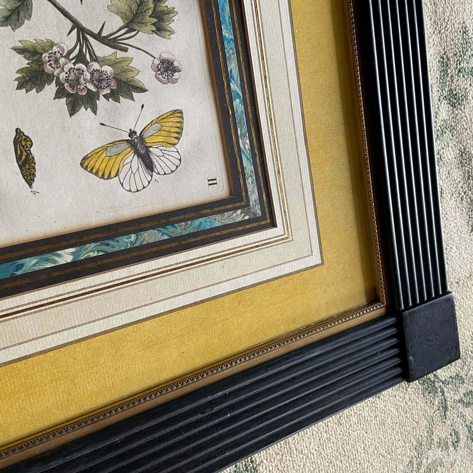 photo for sale Set Of 4 Framed Hand Coloured 19th Century Prints