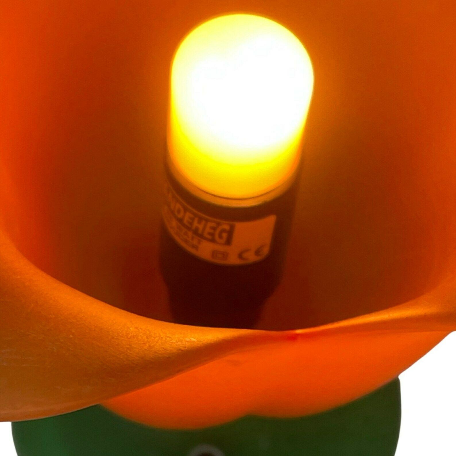 Vandeheg   Table Lamp Made From Glass   Green/Orange   Model Tullip photo Verlichting
