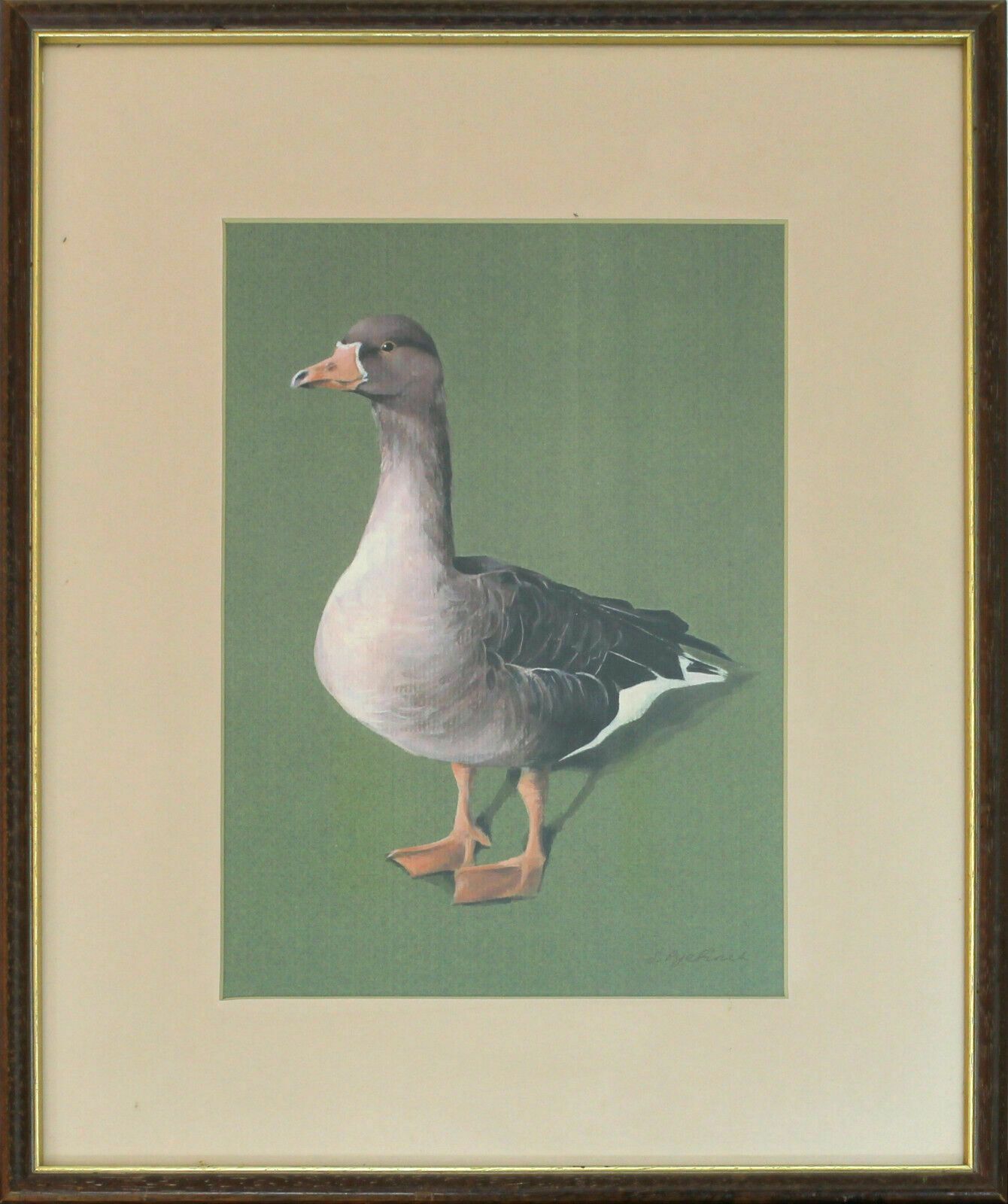 Print From A Gouache Of A Duck By Sarah Pyefinch