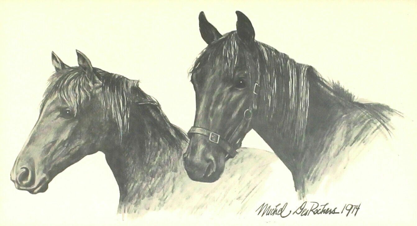 Signed Print Of Two Horses By Michel Desrochers. photo furniture