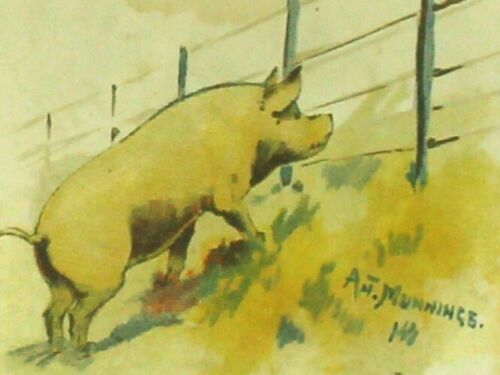 5 Prints Of Work By Alfred Munnings Produced To Accompany A Storybook photo vinterior