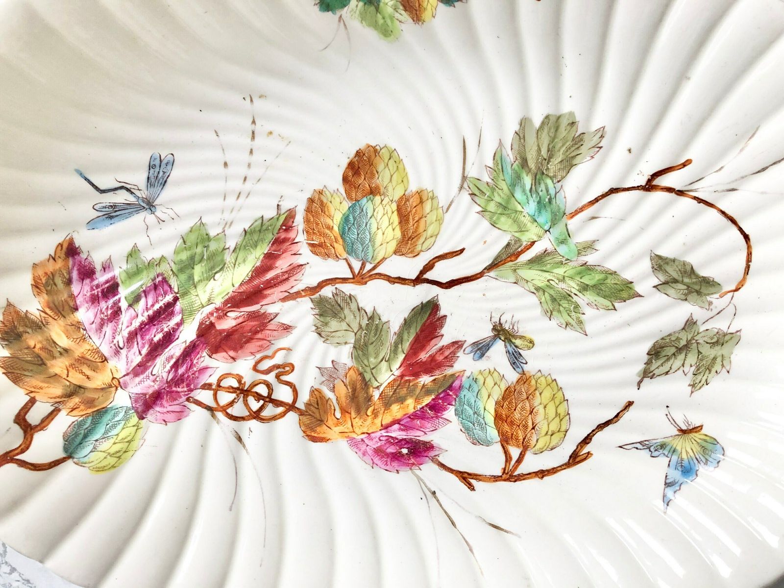 German Manufacture Royal Bonn   Franz Anton Mehlem   Antique China Serving Dish Decorated With Plants And Insects photo for sale
