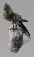 Semi Precious Stone Cockatoo Parrot photo Art