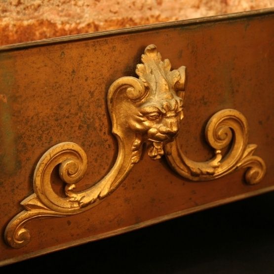 A French Pair Of Bronze Lion Jardinieres photo 795.0