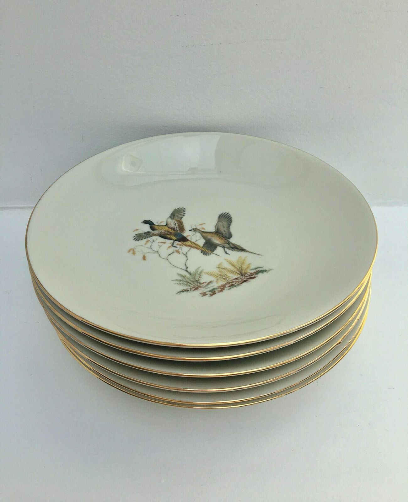 6 Fazant Soep  Of Pastaborden – Bareuther Waldsassen, Game Bird Wildlife, Cabin Decor, Natuur  En Bosdecorcollectie photo furniture