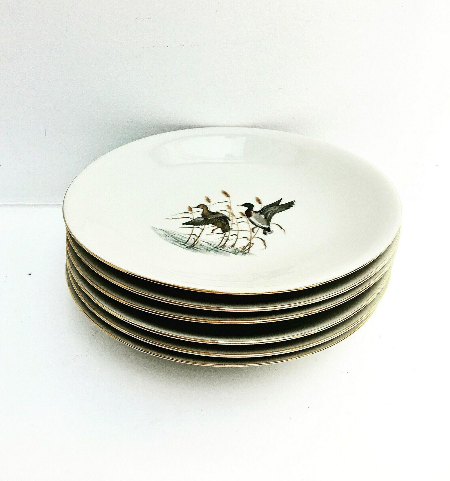 6 Pheasant Bird Soup Or Pasta Plate Hunter Bareuther Waldsassen, Game Bird Wildlife Cabin Decor, Animals Nature Woodland Nature Collection photo for sale