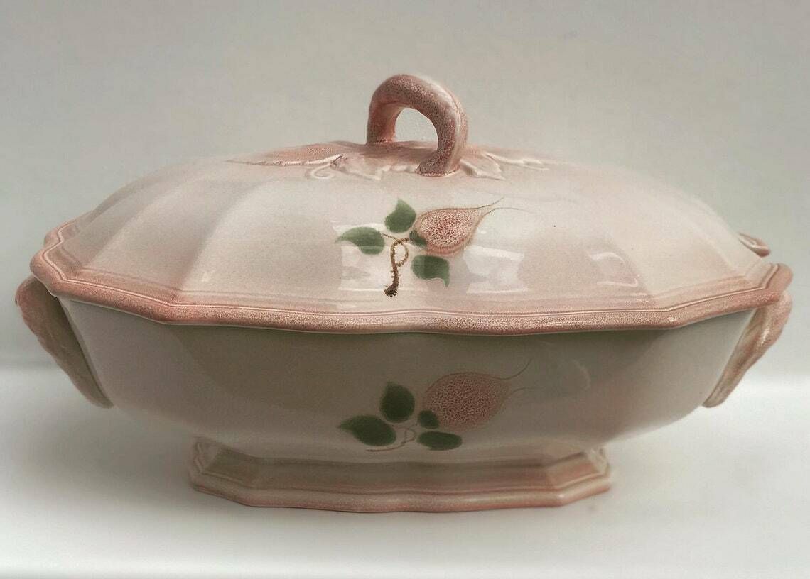 Soepterrine Groenteschaal Grote Serveerschaal Vintage Zachtroze Vintage Majolica Huwelijkscadeau Mid Century Van Salins Les Bains Handgeschilderd photo furniture