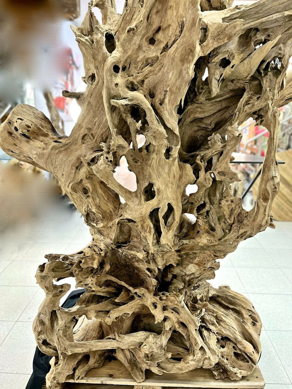 photo for sale Gigantic Teak Root Stand Up Bar   Organic Modern, Indonesia 2022