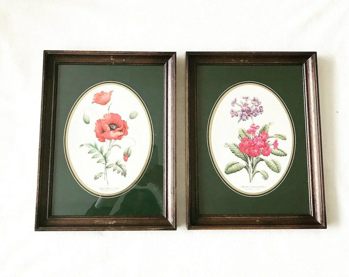 Botanical Art Wall Framed Print Vintage Set Of 2 Wall Hanging  Vintage Flower Print Botanica Print Wall Art Ready To Hang Framed Prints photo Art