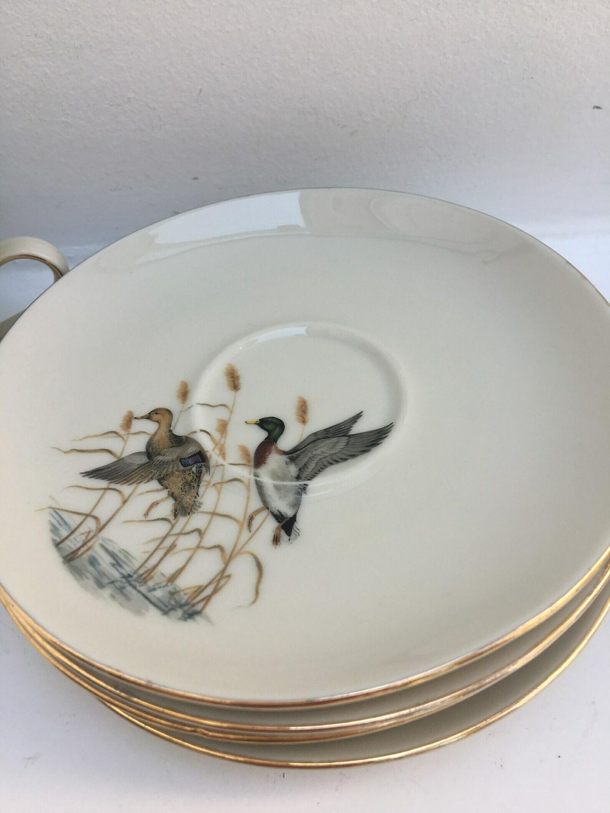 Service de 6 tasses Bareuther Waldsassen, décor faisan, oiseaux de chasse, nature et forêt photo Décoration