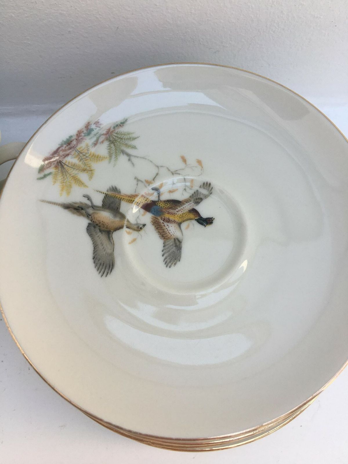 Service de 6 tasses Bareuther Waldsassen, décor faisan, oiseaux de chasse, nature et forêt photo 110.0
