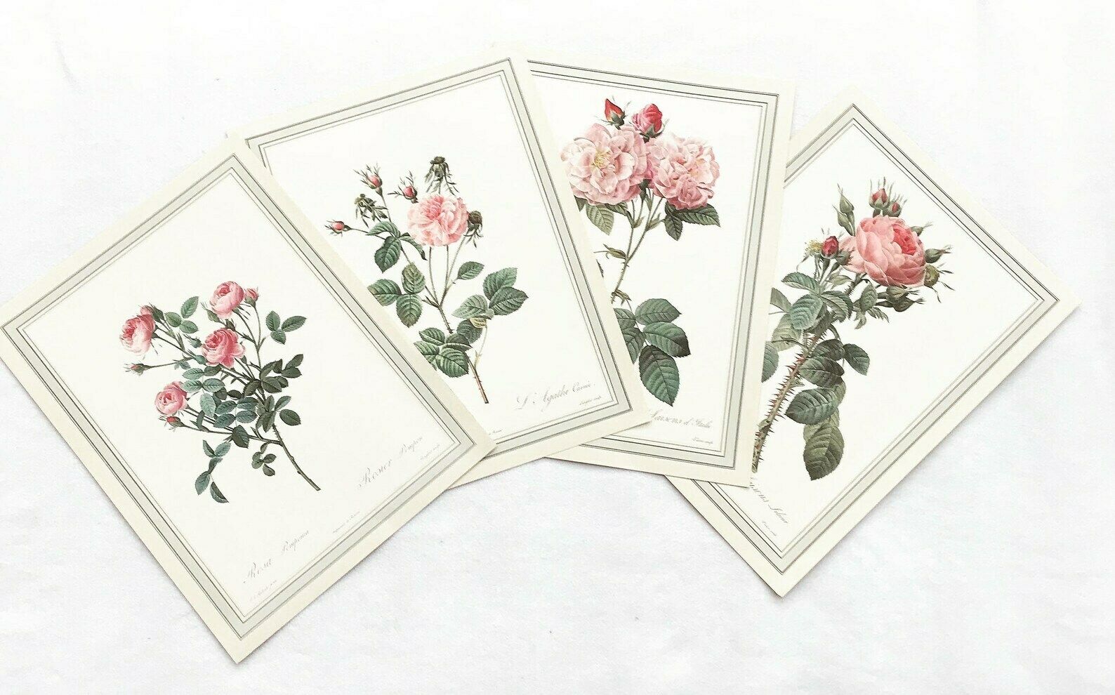 Botanical Print Wall Art Roses Set Original 1960s Vintage Rose Antique Rose Prints Set Victorian Art Wall Cottage Chic Green And Pink photo 90.0