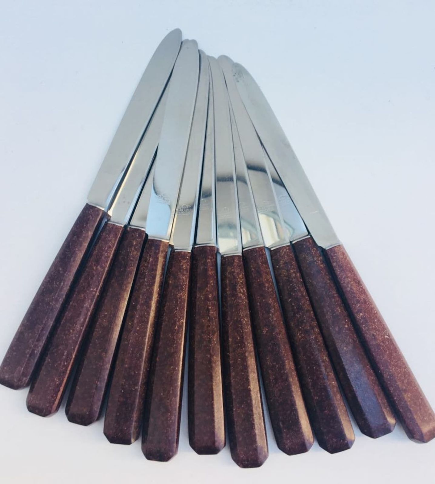 Dinner Knife Set, Dessert Fruits Cheese Entree Knives Cutlery Set, Mid Century Brown Set Of 18 French Table Mcm Vintage Retro Table 1960s photo Home Decor