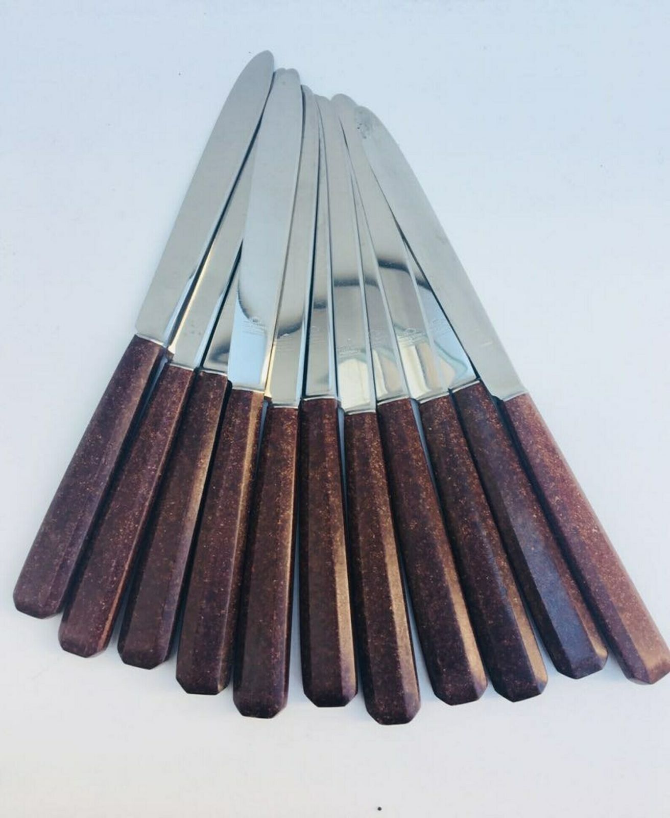Dinner Knife Set, Dessert Fruits Cheese Entree Knives Cutlery Set, Mid Century Brown Set Of 18 French Table Mcm Vintage Retro Table 1960s photo vintage