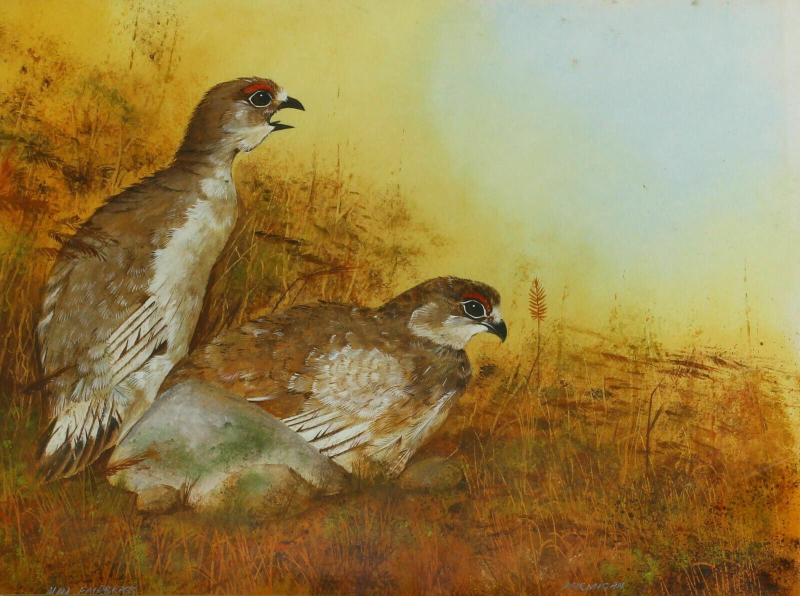 Acrylic Painting By Alan Fairbrass. Titled "Ptarmigan" photo furniture