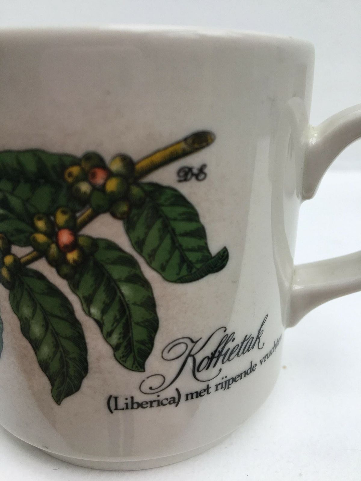 Coffee Mugs Villeroy And Boch, Luxembourg, Vintage Koffietak, Liberica , Breakfast Mug, Liberica With Ripening Fruits Cups Coffee Dutch photo vinterior