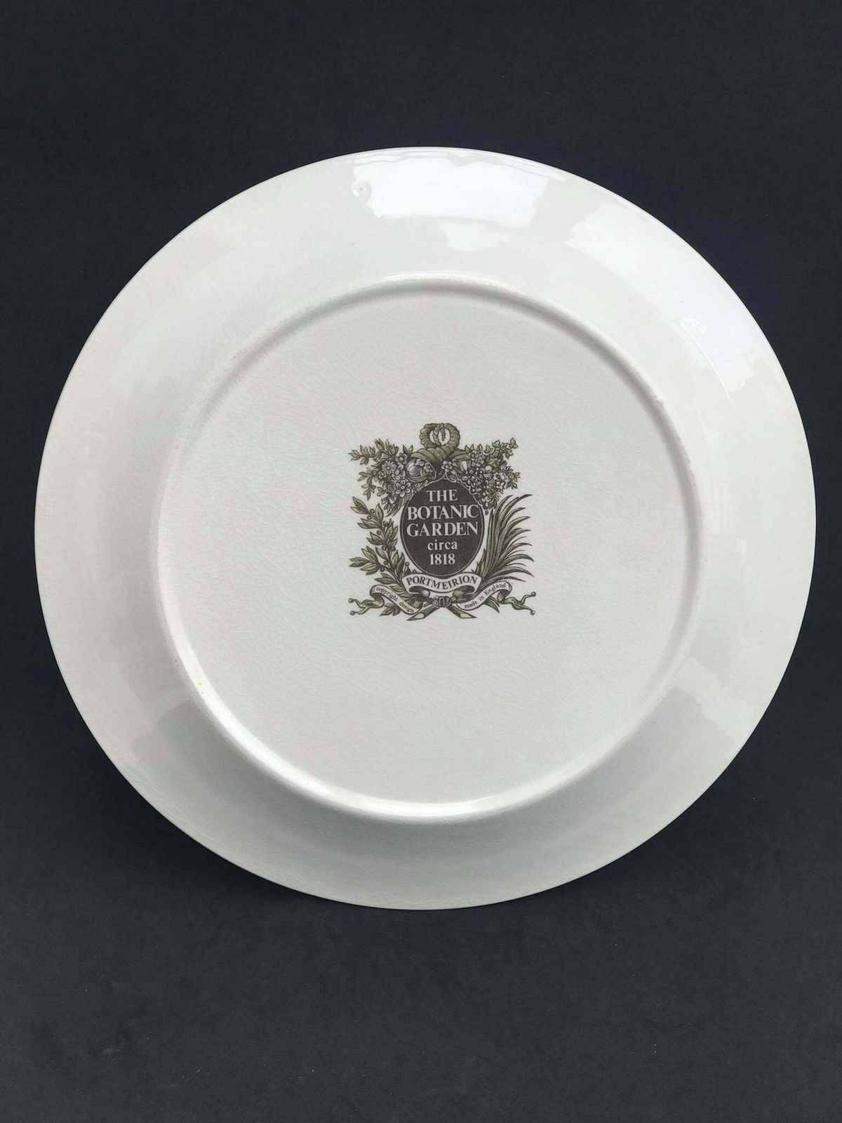 Portmeirion Botanica Dinner Plate 70s Botanic Garden Dinner Plate Cistus Purpureus" Woody Nightshade Made In England China Replacement photo Home Decor