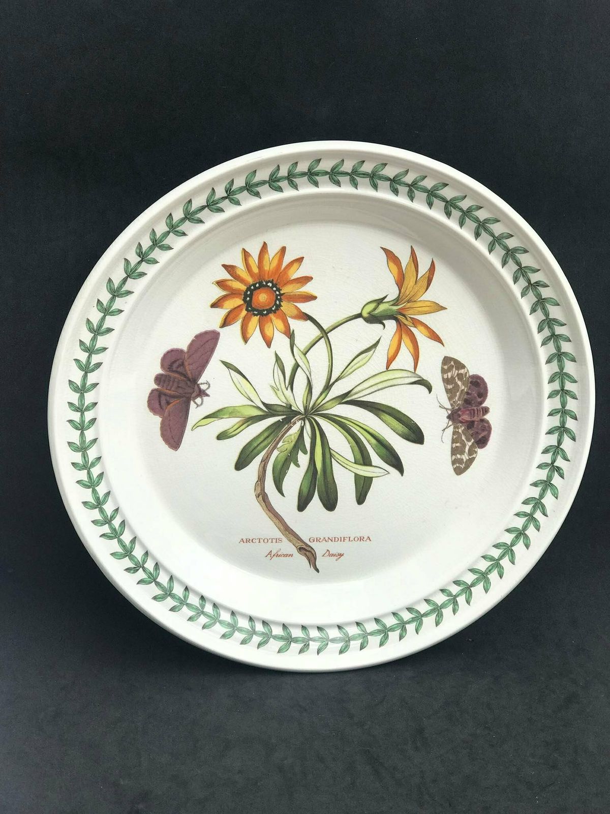 photo for sale Portmeirion Botanica Dinner Plate 70s Botanic Garden Dinner Plate Cistus Purpureus" Woody Nightshade Made In England China Replacement