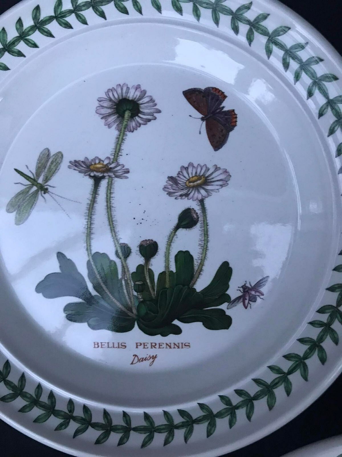 Portmeirion Botanica Salad Plate 21,7 Cm Diameter 8.5" Bread Butter Plate 7.2" Rim Cereal/Oatmeal Bowl Botanic Garden Rosa Replacement photo Home Decor