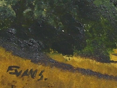 Acrylic Painting By Charles Evans. Countryside View photo for sale