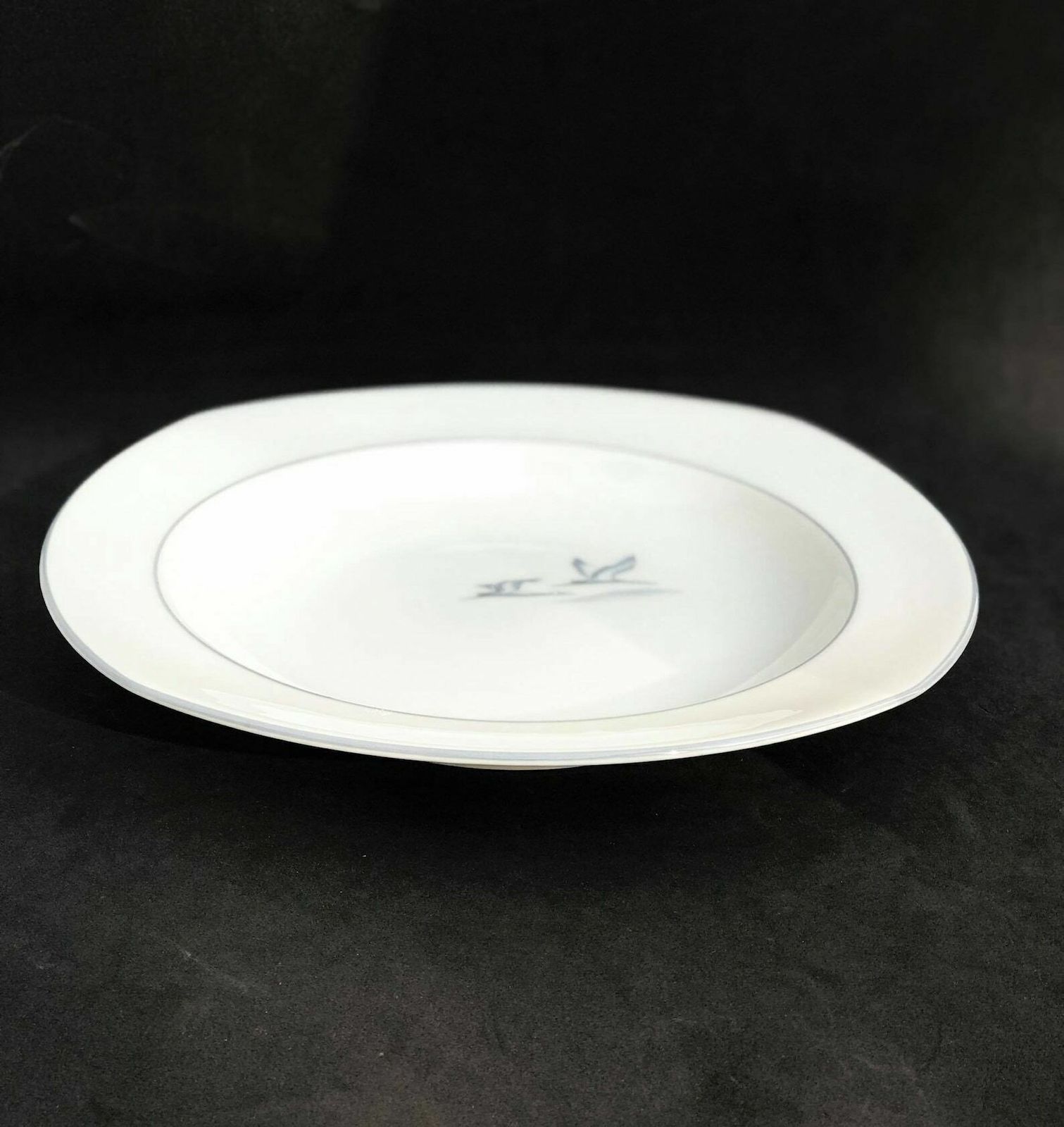 6 Soup Pasta Plates Porcelain Winterling Marktleuthen Spülmaschinenfest Bavaria Vintage Rare Replacemnt Birds Beachside Coast Kitchen photo for sale