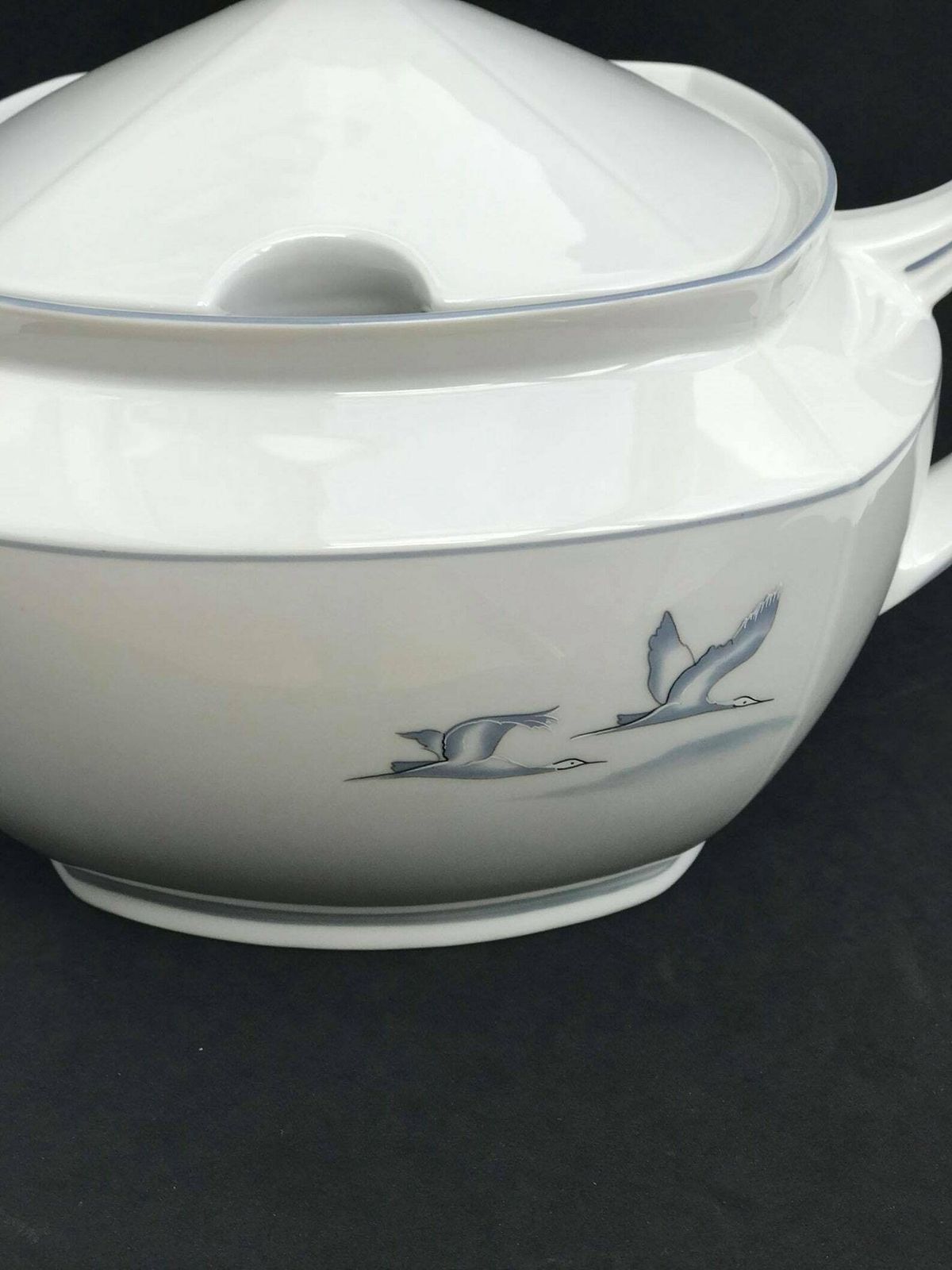photo for sale Soup Tureen Porcelain Winterling Marktleuthen Spülmaschinenfest Bavaria Vintage Rare Replacemnt Birds Pattern Beachside Coast Kitchen