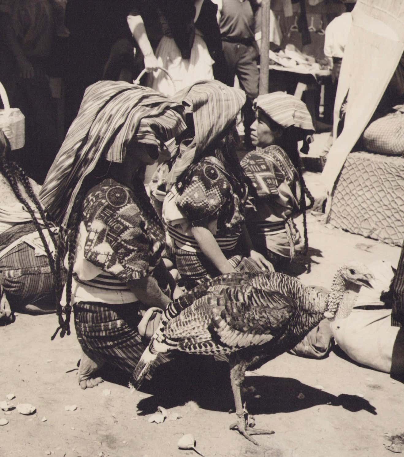 Hanna Seidel Guatemala, Market, Black And White Photograph, Circa 1960s, Circa 1960s photo furniture