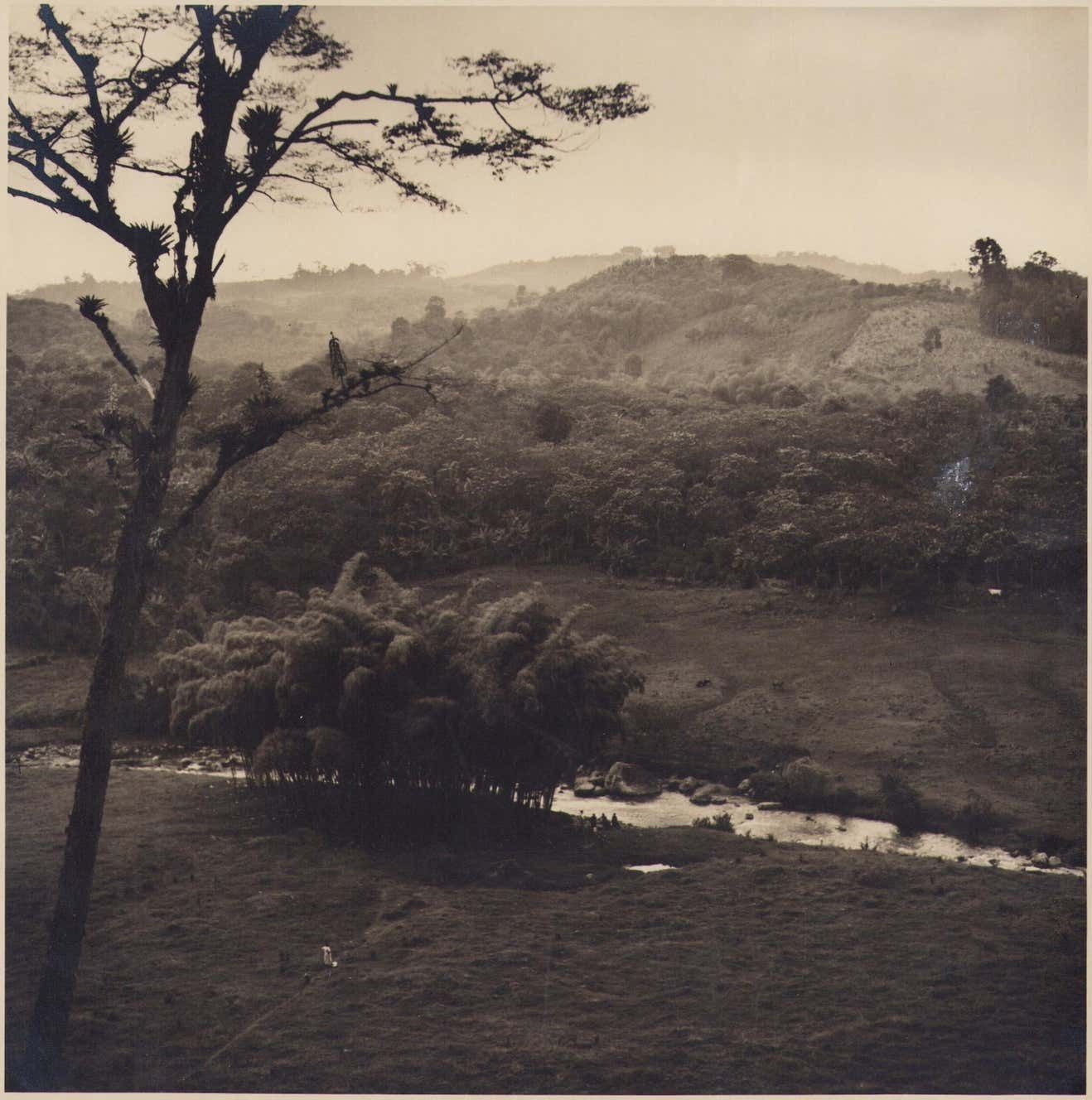 Hanna Seidel Colombia Landscape Forest Black And White Photograph, 1960s