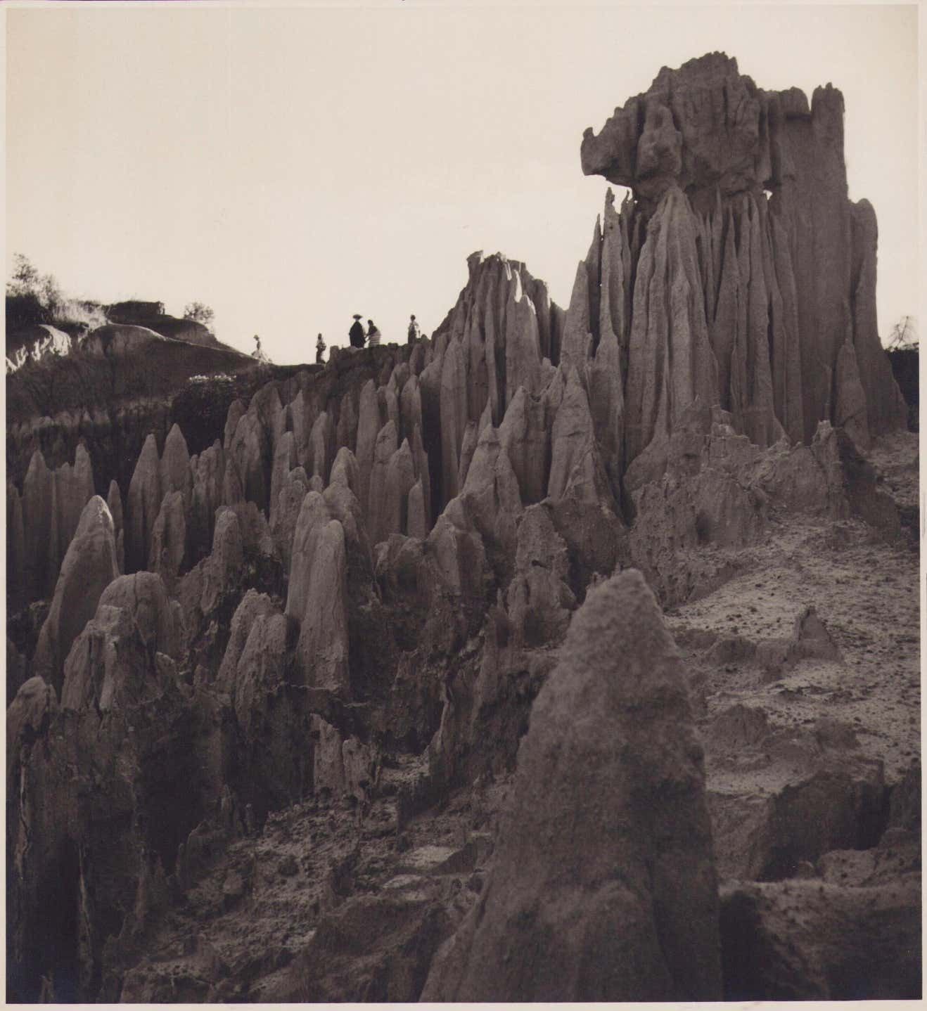 Guatemala, Nature, Black And Whit Photograph, Circa 1960s