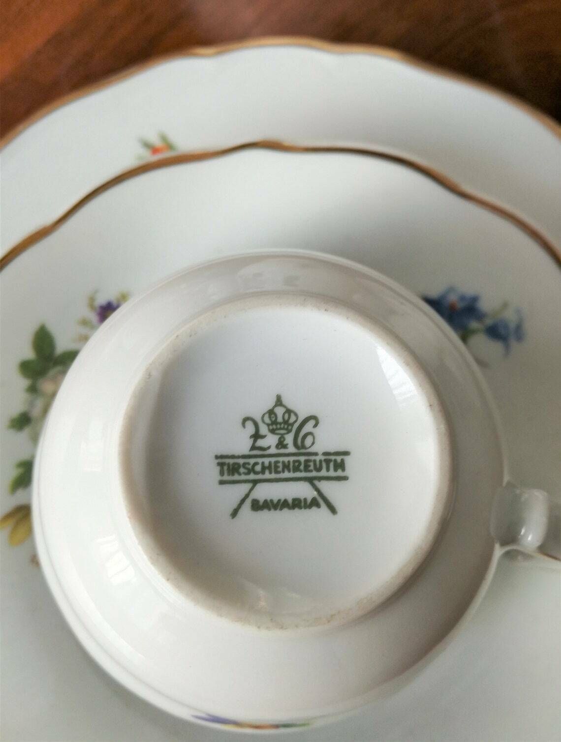 Coffee Or Tea Set  Porcelain With Floral Motif  Tirschenreuth Bavaria  German Porcelain photo buy