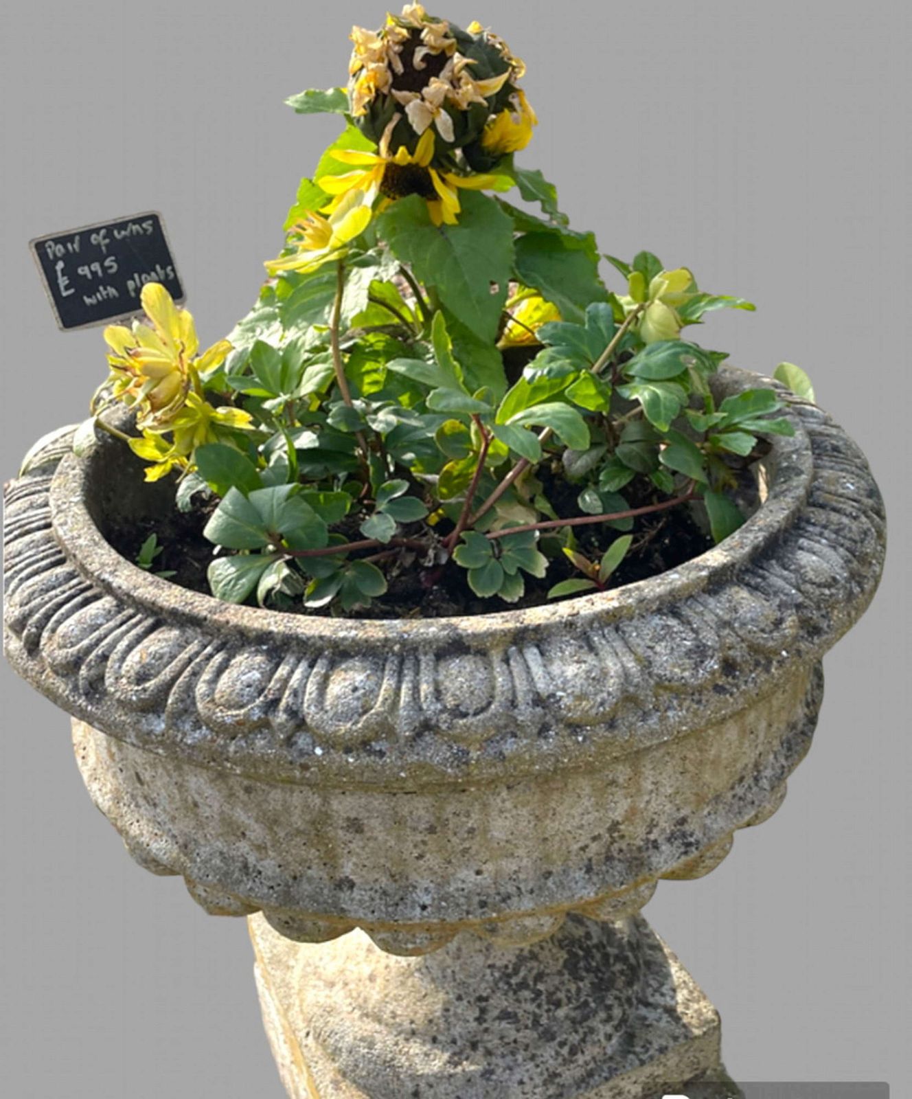 A Pair Of Mid Century Reconstituted Garden Urns photo vinterior