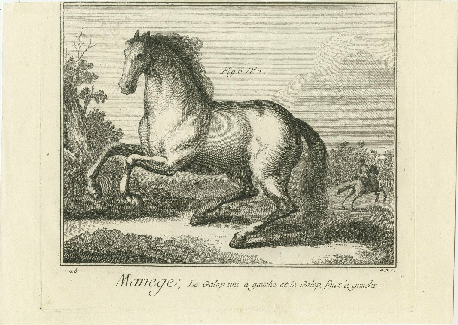 Set Of 2 Antique Prints Of Horse Riding: United Gallop & Disunited Gallop photo for sale